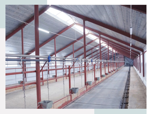 Строительство коровников в Невинномысске от 614 руб.