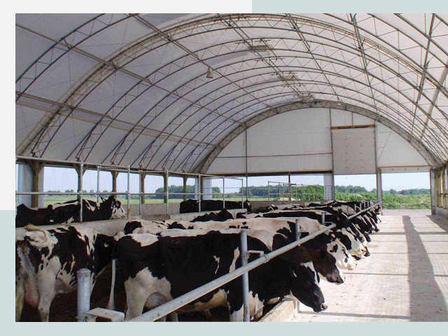 Тентовые коровники в Невинномысске